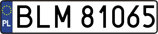 BLM81065
