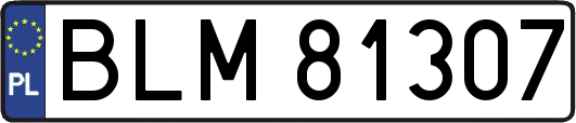BLM81307