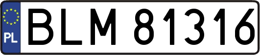 BLM81316