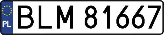 BLM81667