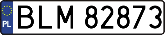 BLM82873