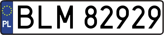 BLM82929