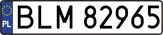 BLM82965