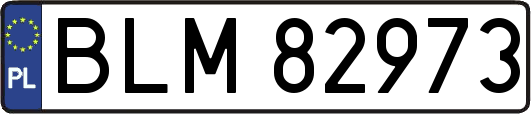 BLM82973