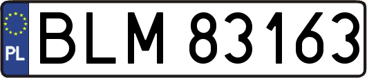 BLM83163