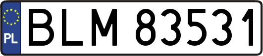 BLM83531