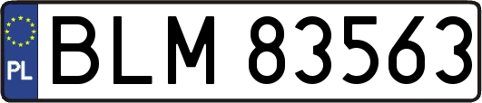 BLM83563