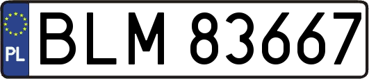 BLM83667