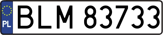 BLM83733