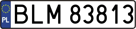 BLM83813