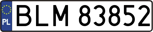 BLM83852