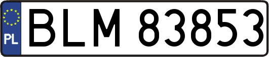 BLM83853