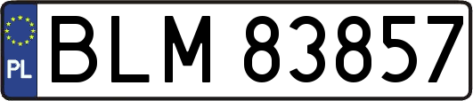 BLM83857