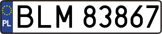 BLM83867