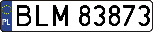 BLM83873