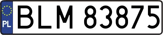 BLM83875