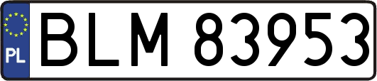 BLM83953