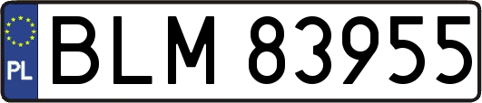 BLM83955