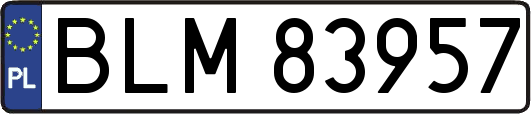 BLM83957