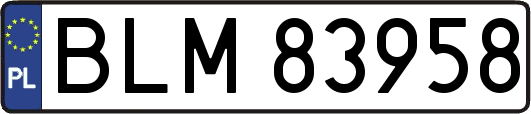 BLM83958