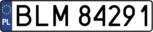 BLM84291