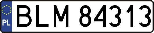 BLM84313