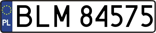 BLM84575
