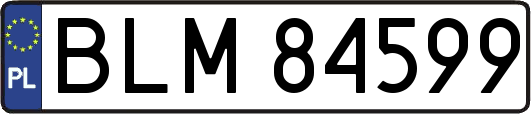 BLM84599