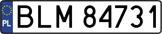 BLM84731