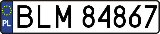 BLM84867