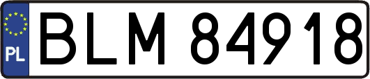 BLM84918