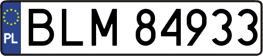 BLM84933