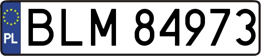 BLM84973