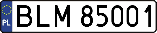 BLM85001