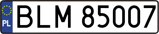 BLM85007