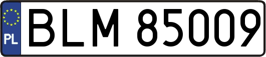 BLM85009