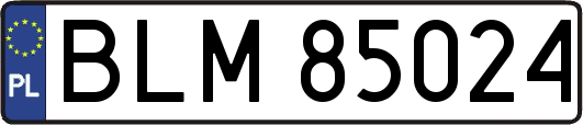 BLM85024