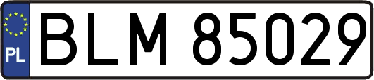 BLM85029
