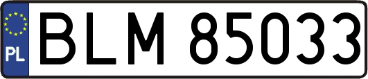 BLM85033