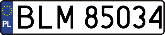 BLM85034