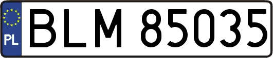 BLM85035