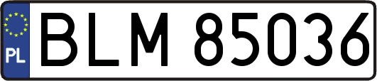 BLM85036