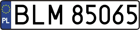 BLM85065