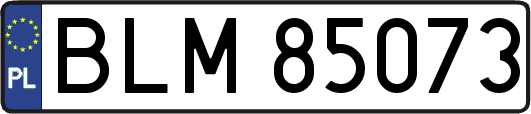 BLM85073
