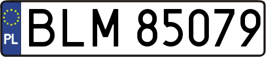 BLM85079