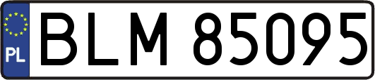 BLM85095