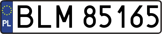 BLM85165