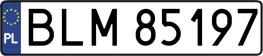 BLM85197