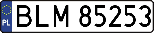 BLM85253