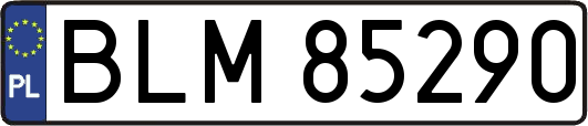 BLM85290
